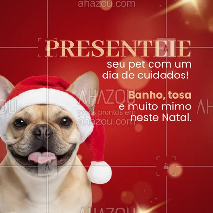 posts, legendas e frases de  para whatsapp, instagram e facebook: O melhor presente que você pode dar ao seu pet é carinho e cuidado 💝
Neste Natal, traga ele para um dia especial de beleza e relaxamento!
Banho, tosa, hidratação e aquele cheirinho delicioso de Natal! 🎅✨
Agende já e celebre o amor com quem está sempre ao seu lado.

#PetShop #NatalPet #AmorPet #BanhoETosa #CuidadosPet #PetsFelizes #Natal2025 #BanhoCheiroso #TosaPerfeita #BelezaPet #Cachorros #Gatos