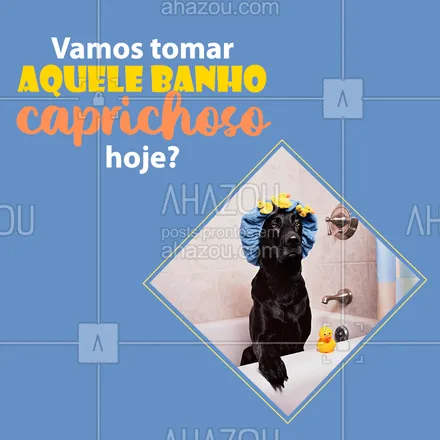 posts, legendas e frases de petshop para whatsapp, instagram e facebook: Hoje é dia de BANHO! Agende já o seu. #petshop #ahazoupet #banho 