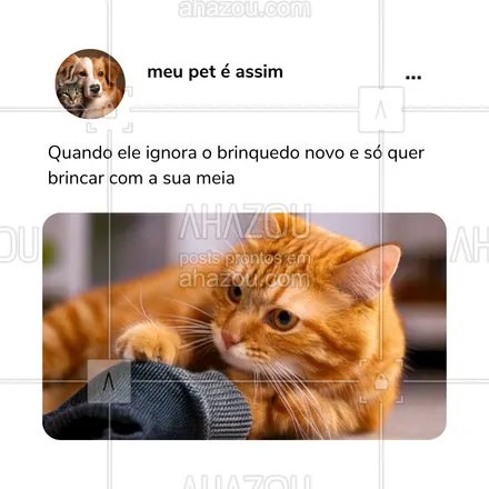 posts, legendas e frases de petshop para whatsapp, instagram e facebook: Eles são cheios de preferências... peculiares! Quem mais já viu seu gato trocar brinquedos caros pelas coisas mais inusitadas? 🐈 #GatoCriativo #AmorFelino #GatoIndependente #MundoDosGatos #AhazouPet #meme #humor #comportamentodospets 