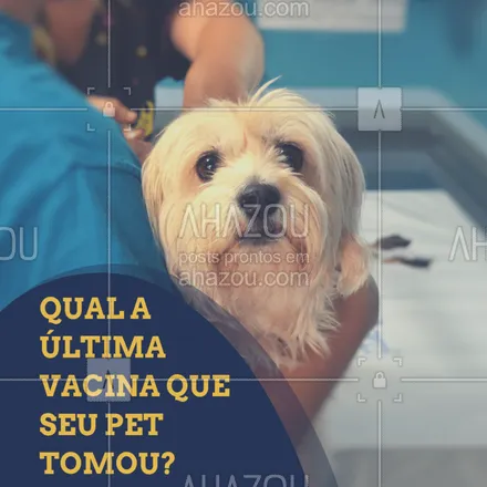 posts, legendas e frases de veterinário para whatsapp, instagram e facebook: Comenta aqui ? e não esqueça de ficar sempre atento(a) às vacinas do seu bichinho! #veterinario #ahazoupet #pet #pets