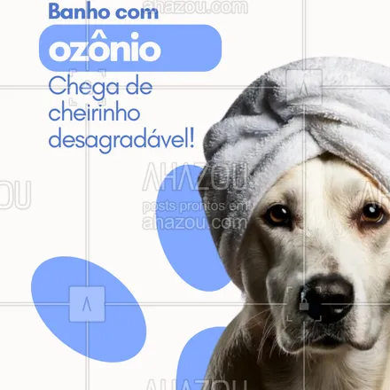 posts, legendas e frases de  para whatsapp, instagram e facebook: O banho com ozônio elimina odores indesejados na fonte, deixando seu pet cheiroso por muito mais tempo. Perfeito para pets com pele sensível ou alergias!
🚿 Experimente e veja a diferença!
#BanhoOzônio #PetCheiroso #SemOdor #TratamentoNatural