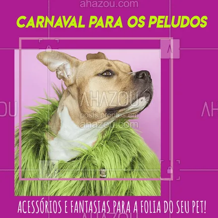 posts, legendas e frases de petshop para whatsapp, instagram e facebook: A folia vem chegando aí e seu pet também precisa aproveitar ? Venha conferir as novidades de acessórios e fantasias! #carnaval #ahazoupet #pet #pets #carnavalpet