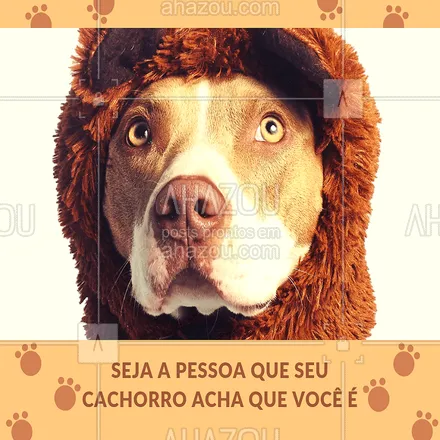 posts, legendas e frases de assuntos variados de Pets para whatsapp, instagram e facebook: Seja a pessoa que seu cachorro pensa que você é. ? #frase  #cachorro #ahazoupet #melhoramigo  #pet  