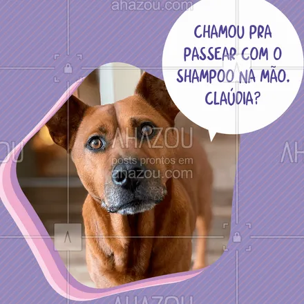 posts, legendas e frases de assuntos variados de Pets para whatsapp, instagram e facebook:  Você acha que eu vou cair nessa de novo? ?
#AhazouPet #engracado #meme #fun #ilovepets #petsofinstagram #dogs #AhazouPet 