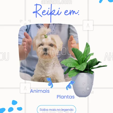posts, legendas e frases de  para whatsapp, instagram e facebook: Essa energia universal também beneficia pets e até sua horta! Aplicações rápidas trazem conforto e vitalidade.
❤️ Conteúdo bônus: pergunte sobre Reiki para seu pet!
#ReikiAnimal #CuraParaTodos #EnergiaDoAmor