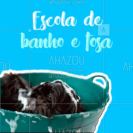 posts, legendas e frases de petshop para whatsapp, instagram e facebook: Confira nosso pacote exclusivo! #escolabanhoetosa #ahazou #pet