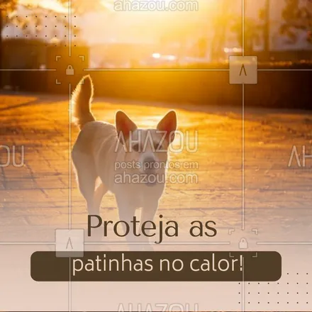 posts, legendas e frases de petshop para whatsapp, instagram e facebook: Em dias quentes, as patinhas dos pets podem sofrer com o asfalto quente. Evite passeios nos horários de pico e use protetores específicos para proteger as almofadinhas! 🐾 #SaúdePet #DicasDeCuidadosPet #CuidadoComOsPets #CuidadosComOsPelos #AhazouPet #dicas #cuidadoscomapele #cuidadoscomospets #petshop 