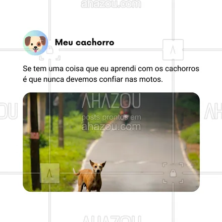 posts, legendas e frases de dog walker & petsitter, veterinário, petshop, assuntos variados de Pets para whatsapp, instagram e facebook: Se tem uma coisa que aprendi com os cachorros, é que motos são sempre suspeitas! 😂🐾 Eles são os verdadeiros guardiões da casa, sempre prontos para nos alertar! Quem mais tem um cão que não suporta motos? 🚨🐶 

#AhazouPet #CachorroAlerta #VidaDeCachorro #MelhorAmigo #EngraçadoMasVerdade #AventurasCaninas