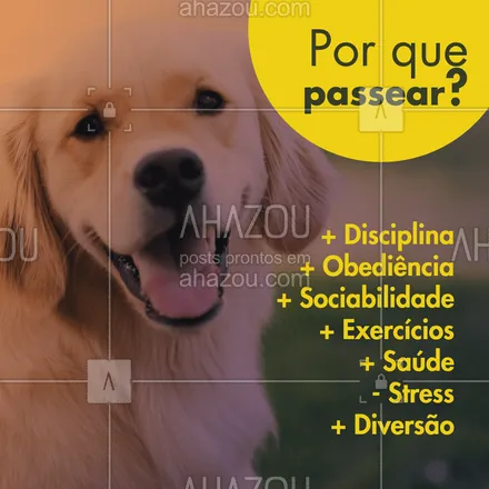 posts, legendas e frases de dog walker & petsitter para whatsapp, instagram e facebook: Passeios são incríveis pro seu amiguinho! ❤️ #dogwalker #ahazoupet #pet #passeios