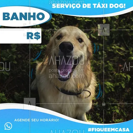 posts, legendas e frases de petshop para whatsapp, instagram e facebook: Fique em casa, não precisa se preocupar buscamos seu pet na sua casa! Agende seu horário! #ahazou #ahazoudogs #taxidog #fiqueemcasa