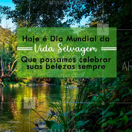 posts, legendas e frases de posts para todos para whatsapp, instagram e facebook: Como você celebra a biodiversidade? ?

#DiaMundialdaVidaSelvagem #VidaSelvagem #3Março #Ahazou
