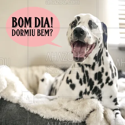 posts, legendas e frases de assuntos variados de Pets para whatsapp, instagram e facebook: Bom diaaaa ❤️ #bomdia #ahazoupet