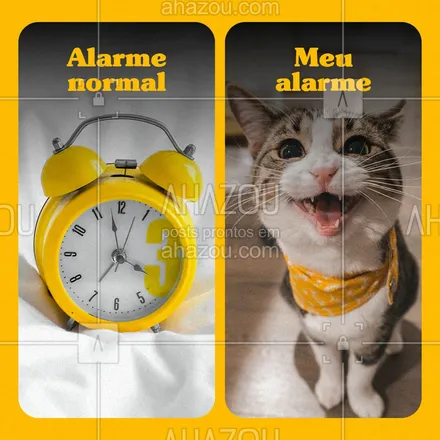 posts, legendas e frases de assuntos variados de Pets para whatsapp, instagram e facebook:  Quem mais tem um alarme diferenciado aí? ????
#alarme #gato #gatinhos #AhazouPet  #petlovers #ilovepets #petsofinstagram
