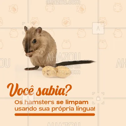 posts, legendas e frases de petshop, assuntos variados de Pets para whatsapp, instagram e facebook: Os hamsters são animais limpos e higiênicos, e assim como os gatinhos, eles se limpam usando sua própria língua, isso faz com que seja desnecessário, ou ao menos incomum, dar banho neles! 

E aí, você já sabia dessa? ??

#AhazouPet #hamster #animais #exoticos #hamsterDomestico #estimacao #animais #lingua #banho #limpeza #higiene