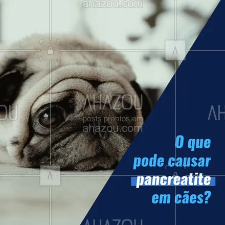 posts, legendas e frases de veterinário para whatsapp, instagram e facebook: Embora não haja uma causa única, comumente ela é ligada a casos de alimentação inadequada, com muita gordura. Quando o animal recebe uma dieta muito gordurosa, o pâncreas pode não conseguir quebrar os lipídios e desenvolve a pancreatite canina.🐶 #AhazouPet #dicas #saude #pancreatite #vetpet #veterinarian #veterinario #petvet #vet #caes