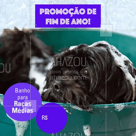 posts, legendas e frases de petshop, assuntos variados de Pets para whatsapp, instagram e facebook: Não perca essa promoção e traga seu peludo para um banho! #banho #pet #dog #ahazoupet #promocao #fimdeano