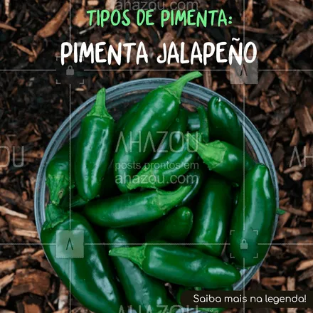 posts, legendas e frases de hortifruti para whatsapp, instagram e facebook: Uma das mais famosas pimentas mexicanas, a Jalapeño é conhecida por sua ardência forte e cor verde. É usada principalmente na culinária típica do México, em pratos como chilli, tacos e burritos, e também no molho chipotle. #pimentas #ahazou #ahazoutaste #ahazougastronomia #gastronomia #pimenta #receita #hortfruti
