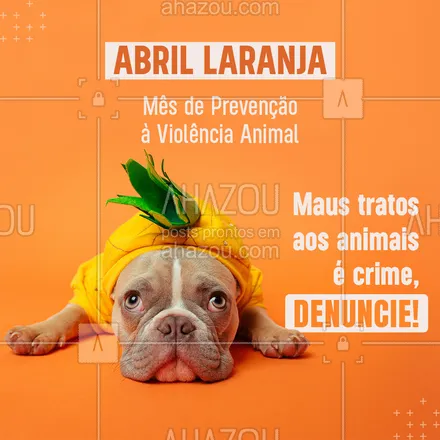posts, legendas e frases de posts para todos para whatsapp, instagram e facebook: Segundo dados da Delegacia Eletrônica de Proteção Animal (DEPA) da Secretaria da Segurança Pública, entre 2020 e 2021 as denúncias de maus-tratos aumentaram 15,60%, chegando a 16.042 casos, além disso, estima-se que no Brasil existam 30 milhões de animais abandonados, por isso a importância do mês de conscientização! 😉
#ahazou #abrillaranja #maustratos #direitosdosanimais #animais #pets