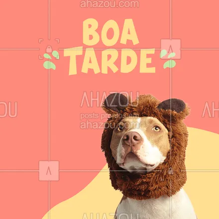 posts, legendas e frases de assuntos variados de Pets para whatsapp, instagram e facebook: Boa tarde para todos nós ! 
#dog #ahazou #boatarde