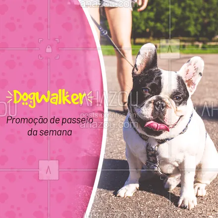 posts, legendas e frases de dog walker & petsitter para whatsapp, instagram e facebook: Faça o seu peludinho feliz! Aproveite a promoção especial da semana! ? #dogwalker #promocao #ahazoupet #petlovers