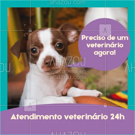 posts, legendas e frases de veterinário para whatsapp, instagram e facebook: Seu pet precisa de atendimento urgente? Nosso atendimento veterinário funciona 24h! Conte conosco. ? #veterinario #ahazoupet #pet #atendimento24h