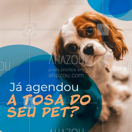 posts, legendas e frases de petshop para whatsapp, instagram e facebook: Ainda não? Então entre em contato e agende um horário contato??✂! #instapet #banhoetosa #tosahigiênica #AhazouPet #petshoponline #petshop #delivery