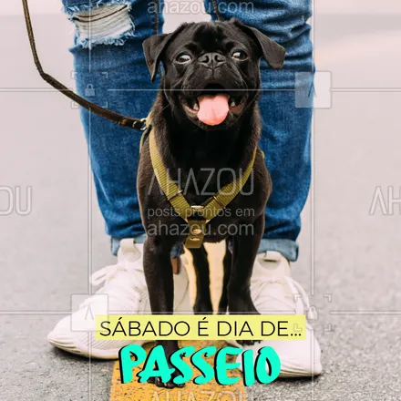 posts, legendas e frases de dog walker & petsitter para whatsapp, instagram e facebook: Sábado também é dia de passear! ? #dogwalker #ahazoupet #petlovers