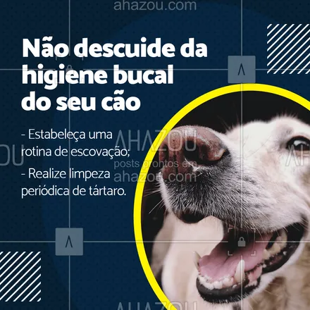 posts, legendas e frases de veterinário para whatsapp, instagram e facebook: ? Você sabe porquê é tão importante estar sempre atento à higiene bucal do seu pet? ?? Assim como nos humanos, a placa bacteriana acumulada nos dentes calcifica formando o tártaro. ❗Esse tártaro, se não retirado, pode atingir a parte mais interna dos dentes, causando infecções que, através da corrente sanguínea, podem ocasionar problemas sérios como meningite, doenças cardíacas e renais. ✅ Precisa de ajuda para saber como cuidar da higiene bucal do seu cãozinho? Agende uma consulta. #cães #higienebucal #AhazouPet #medicinaveterinaria #medvet #vetpet #veterinarian #veterinario #clinicaveterinaria #veterinary #vet #veterinaria