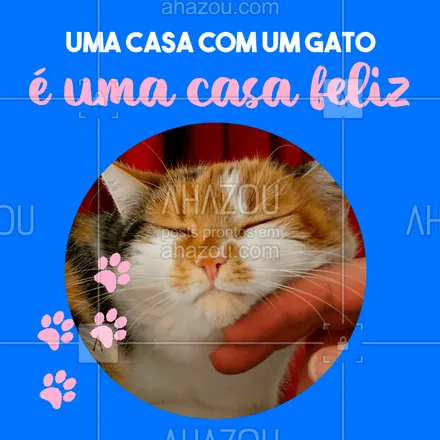 posts, legendas e frases de assuntos variados de Pets para whatsapp, instagram e facebook: Concordam? ? #gato #ahazoupet #pet 