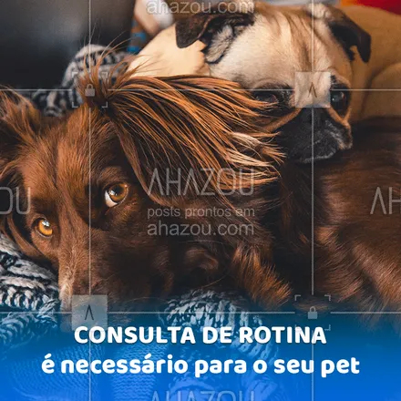 posts, legendas e frases de veterinário, assuntos variados de Pets para whatsapp, instagram e facebook: Nossos pets também precisam de consulta de rotina. Além, é claro, de todas as vacinas sempre estarem em dia! #consulta #vacinas #ahazoupet #veterinario 