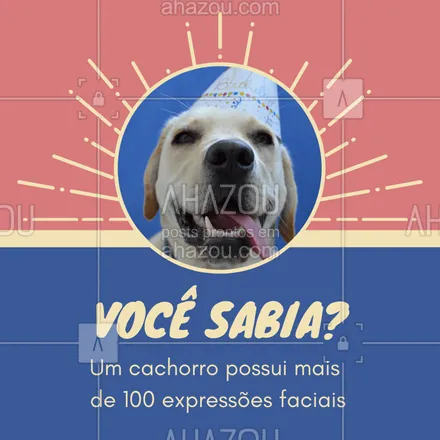 posts, legendas e frases de assuntos variados de Pets para whatsapp, instagram e facebook: Você sabia??? ?♥️ #dogs #expressaofacial #caes #ahazoupet #amocachorros #loucosporcachorros