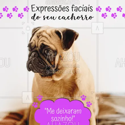 posts, legendas e frases de assuntos variados de Pets para whatsapp, instagram e facebook: Hahaha qual a melhor carinha do seu cão? ?♥️ #dogs #caes #ahazoupet #carinhas #expressoesfaciais #amocachorro #loucospordogs