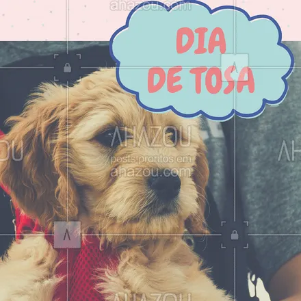 posts, legendas e frases de petshop para whatsapp, instagram e facebook: Hoje é dia de tosa! Venha tosar seu pet ?❤️️? #tosa #ahazou #petshop