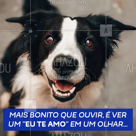 posts, legendas e frases de assuntos variados de Pets para whatsapp, instagram e facebook: Só quem recebe esse amor sabe! #cachorro #ahazoupet #pet #motivacional 