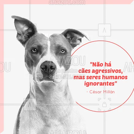posts, legendas e frases de assuntos variados de Pets para whatsapp, instagram e facebook: Com uma criação e um adestramento adequado, todo pet é amoroso! ❤️
#cachorro #ahazou #adestramento #pets