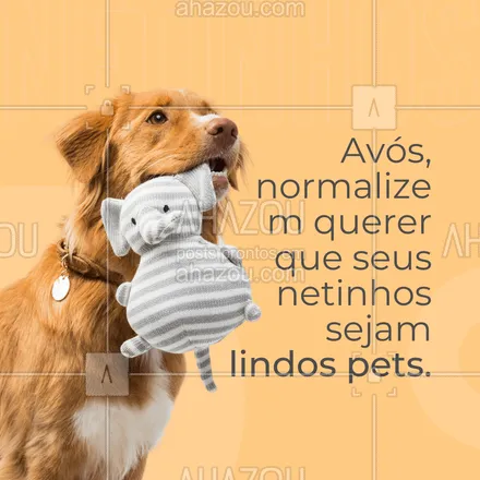 posts, legendas e frases de assuntos variados de Pets para whatsapp, instagram e facebook: Prometo encher a casa de netinhos!!🥰✨🐶 🐱#AhazouPet #cats  #dogs  #petlovers #humor