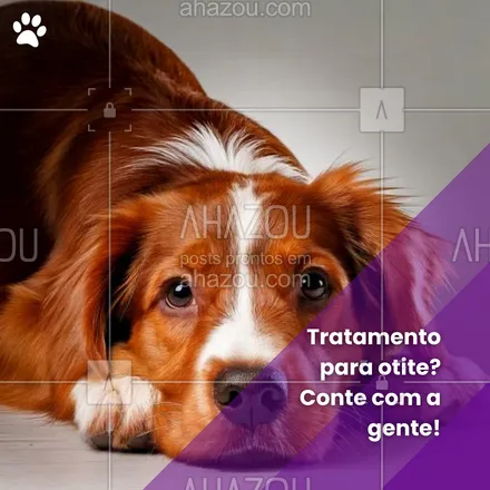 posts, legendas e frases de petshop para whatsapp, instagram e facebook: Cada pet merece cuidado e carinho, especialmente quando está com dor. A otite tem tratamento, e estamos aqui para ajudar o seu pet a se recuperar e voltar a brincar feliz! 🐾✨ #DicaDePet #SaúdePet #Otite #CuidadosPet #OtitePet #SaúdeAnimal #AhazouPet #petshop #dica #tratamento #otite  