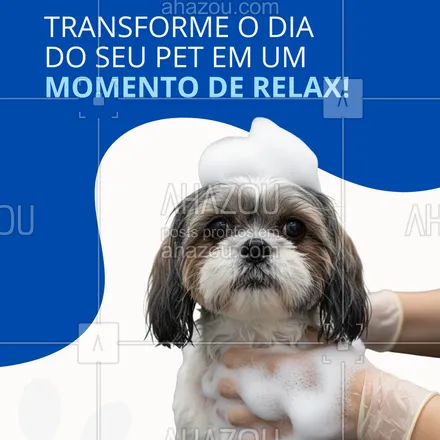posts, legendas e frases de  para whatsapp, instagram e facebook: Um banho relaxante e uma tosa caprichada fazem toda a diferença! agende agora o banho e tosa e veja seu pet mais leve, cheiroso e feliz 💦
#banhoetosa #petfeliz #banhoespecial #cuidadocompet #amorpelosanimais #spaanimal #banhoetosanatural #petshop #bemestarpet #todospelopet