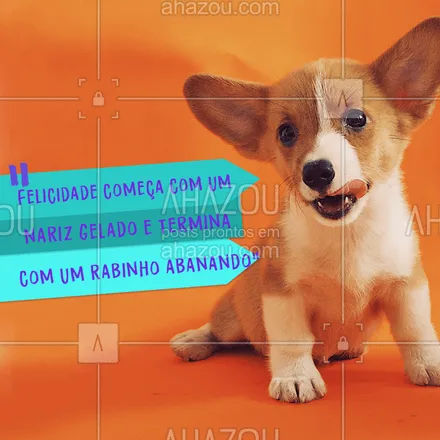 posts, legendas e frases de assuntos variados de Pets para whatsapp, instagram e facebook: Amo! #cachorro #ahazoupet #pet #animal