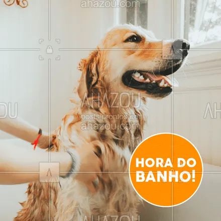 posts, legendas e frases de assuntos variados de Pets para whatsapp, instagram e facebook: Tá na hora do banho! E o seu animalzinho, gosta de tomar banho?
#pet #ahazou #banho