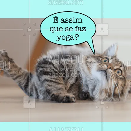 posts, legendas e frases de assuntos variados de Pets para whatsapp, instagram e facebook: haha quem aí também tem um gato que faz yoga? #pet #yoga #ahazou #gato