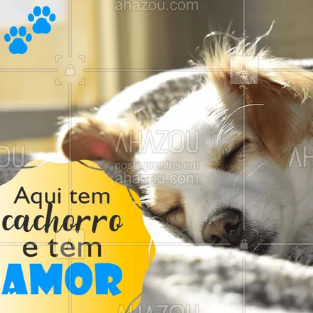posts, legendas e frases de assuntos variados de Pets para whatsapp, instagram e facebook: E aí, também tem os dois?? #petlover #ahazou #dogs