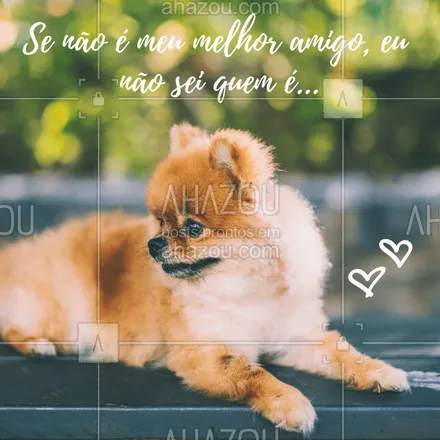 posts, legendas e frases de assuntos variados de Pets para whatsapp, instagram e facebook: Se não é meu melhor amigo, eu nem sei... ❤️️❤️️❤️️ #cachorro #pet #ahazou #melhoramigo #ahazoupet #dog