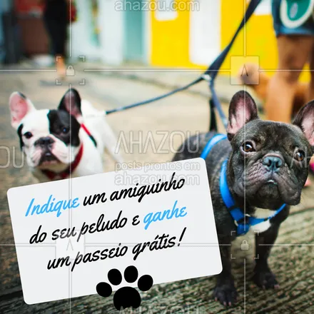 posts, legendas e frases de dog walker & petsitter para whatsapp, instagram e facebook: Quanto mais cachorros, melhor ?? Indique um amiguinho do seu pet, e ganhe um passeio grátis para o seu peludo! #dogwalker #passeios #ahazoupet #promo #indicacao #cachorro
