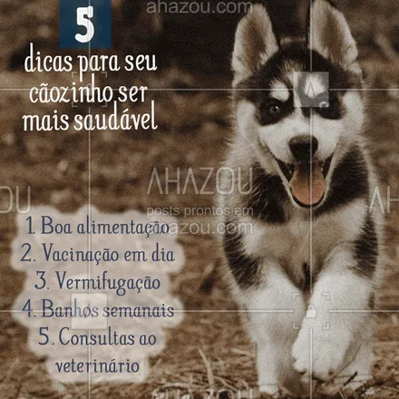 posts, legendas e frases de assuntos variados de Pets para whatsapp, instagram e facebook: Seguindo essas 5 dicas, seu cão com certeza será muito mais feliz e saudável! #pets #ahazou #cachorro #dog #petshop