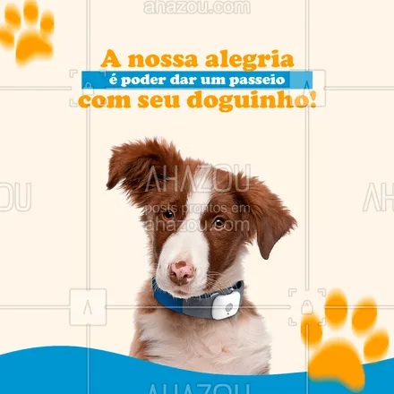 posts, legendas e frases de dog walker & petsitter para whatsapp, instagram e facebook: Nós podemos te pedir uma coisa? Faz a gente feliz hoje! ?#dogwalk #dogwalker #AhazouPet#dogwalkerlife #passeio