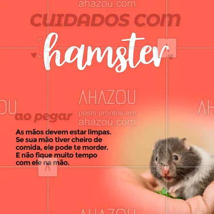 posts, legendas e frases de assuntos variados de Pets para whatsapp, instagram e facebook: Saiba dos cuidados ao ter um hamster em casa!
#ahazou #hamster #pet #animaisdeestimacao #cuidados