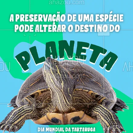 posts, legendas e frases de posts para todos para whatsapp, instagram e facebook: Juntos podemos mudar o destino do planeta Terra. Feliz dia da Tartaruga! ??#tartaruga #diamundialdatartaruga #animais #Terra #ahazou 