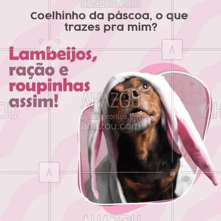 posts, legendas e frases de petshop para whatsapp, instagram e facebook: O que mais pode fazer um pet feliz do que isso? 😍🐶
#AhazouPet #banhoetosa  #delivery  #instapet  #petshoponline  #petshop 