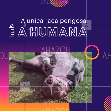 posts, legendas e frases de assuntos variados de Pets para whatsapp, instagram e facebook: Quem concorda?? #raças #pet #ahazou #pitbull #petlover